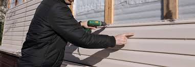 Best Insulated Siding Installation  in Waconia, MN